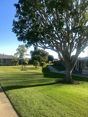 Leisure World Seal Beach greenbelt