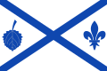 Lemoako udal ikurrina