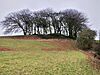 Lemonstown Motte, County Wicklow, Ireland. 4.jpg