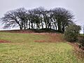 Lemonstown Motte, County Wicklow, Ireland. 4
