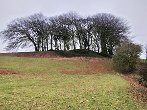 Lemonstown Motte, County Wicklow, Ireland. 4