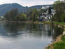 Limmat - Geroldswil IMG 6023.JPG