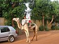 Man on camel behind a car in Burkina Faso, 2008