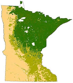 Minnesota Terrestrial Biomes