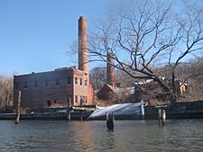 North Brother Island Old Plant