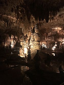 Onondaga Cave formation known as the Rock of Ages