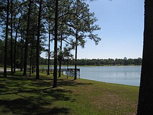 Open pond, conecuh national forest, alabama
