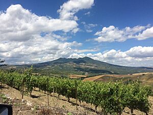 Panorama con Vigneto Monte Vulture