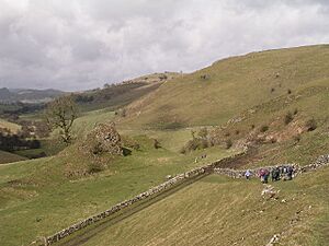 Pilsbury Castle Hills - geograph.org.uk - 22734