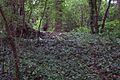 Presumed-ice-house-Worcester-Park-House-alt-view