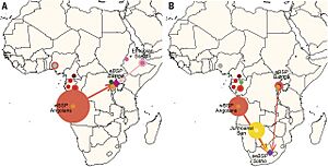 Reconstructing the dispersal of Bantu-speaking populations