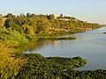 Rive du Niger, dans Niamey