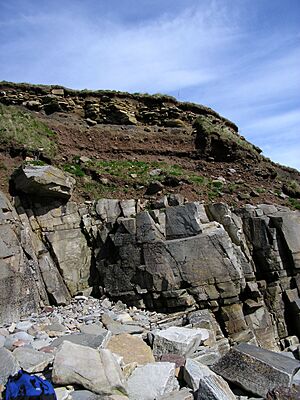 Rockhead at Sandside Bay, Caithness, Scotland