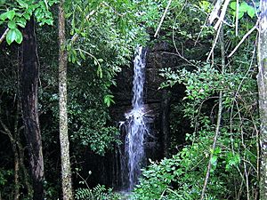 Salto Piroy.Mbatovi Paraguay