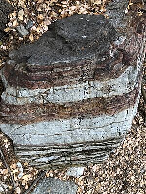 San gabriel gneiss