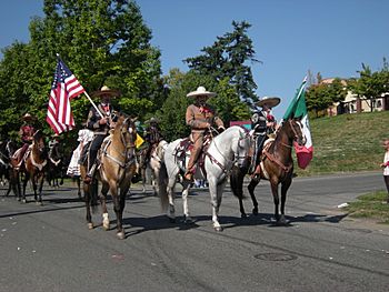 Seattle - Fiestas Patrias Parade 2008 - horses 04