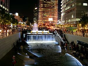 Seoul Cheonggyecheon night