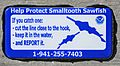 Sign for protection of Smalltooth sawfish, Sanibel Island, FL, USA