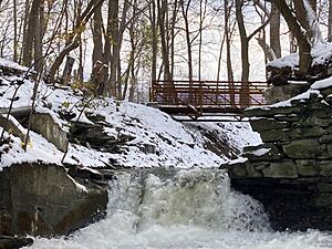 Silver Lake Trail Footbridge 2023