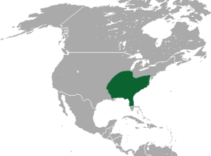 Southeastern Shrew area.png