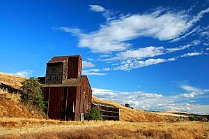 Steen Road Grain Elevator (Umatilla County, Oregon scenic images) (umaDA0088)