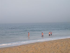Swimmers at Block Island IMG 1078