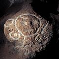 Taino petroglyph in cave