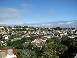 A view over Tainui, looking south east