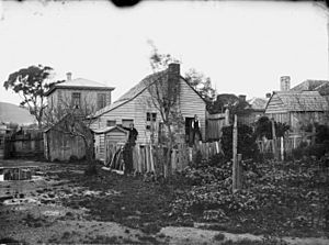 The Old Shebang, Cuba Street, Wellington, ca 1883