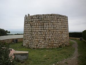 Torre del Pedró vista posterior