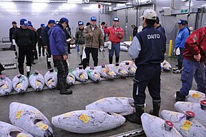 Tuna auction at Narita Wholesale Market