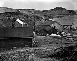 Union Fish Co's codfish station, Pavlof Harbor, Sanak Island, Alaska, May 1913 (COBB 164)