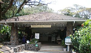 Waioli-Tea-Room-front-entrance