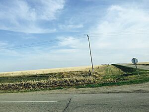 Wheatfield intersection in Southern Saskatchewan, Canada
