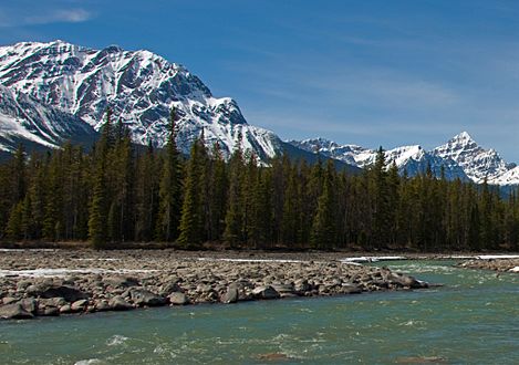 Whirlpool Mountain and Mount Edith Cavell