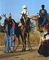 1997 277-31A Tuareg