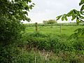AlvinghamPrioryAbbeyChurchSite