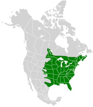 Ancyloxypha numitor range map.PNG