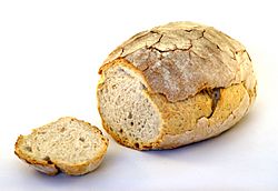 Basler Brot white background.jpg