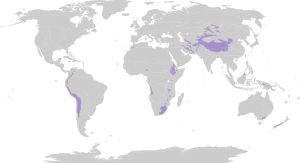Biome map 10
