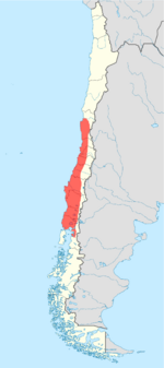 Calyptocephalella gayi.svg