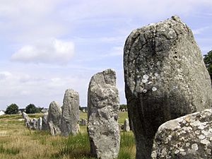 Carnac megalith alignment 1