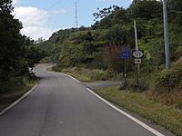 Carretera PR-143 (Viajando hacia el Oeste) y acercandose a la Carretera PR-577 hacia el Cerro Maravilla, Barrio Anon, Ponce, Puerto Rico (DSC01621)