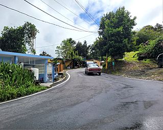 Carretera PR-809, Naranjito, Puerto Rico