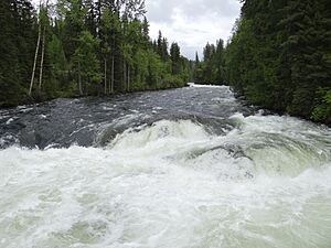 Clearwater River - Wells Gray National Park - BC - Canada - 01