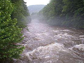 Cranberry River West Virginia.jpg