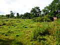 Cransford Meadow 2