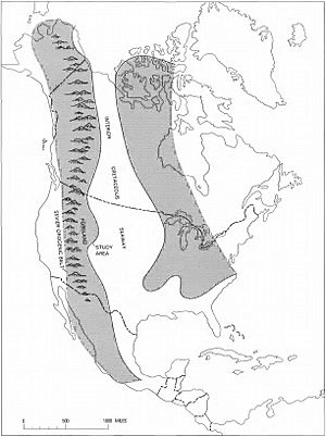 Cretaceous Seaway H. W., Roehler