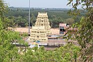 Devanathaswamytemple (6)