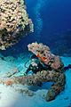 Diver and old anchor, Monito Island, Puerto Rico